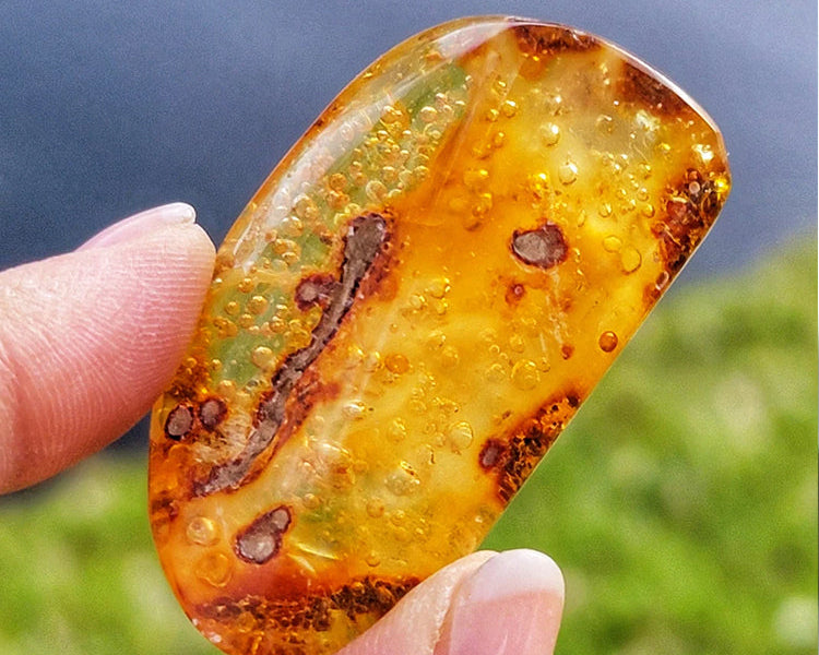 Amber Meaning: Do you know ?