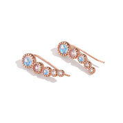Spiritual Growth - Moonstone Earrings - Num-Magic