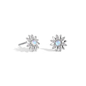 Love Enhancement - Moonstone Earrings - Num-Magic